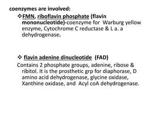 coenzymes are involved:
FMN, riboflavin phosphate (flavin
mononucleotide)-coenzyme for Warburg yellow
enzyme, Cytochrome C reductase & L a. a
dehydrogenase.
 flavin adenine dinucleotide (FAD)
Contains 2 phosphate groups, adenine, ribose &
ribitol. It is the prosthetic grp for diaphorase, D
amino acid dehydrogenase, glycine oxidase,
Xanthine oxidase, and Acyl coA dehydrogenase.
 
