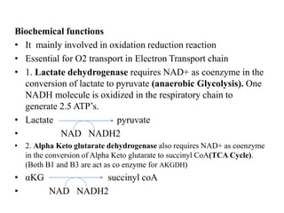 Biochemical functions
• It mainly involved in oxidation reduction reaction
• Essential for O2 transport in Electron Transport chain
• 1. Lactate dehydrogenase requires NAD+ as coenzyme in the
conversion of lactate to pyruvate (anaerobic Glycolysis). One
NADH molecule is oxidized in the respiratory chain to
generate 2.5 ATP’s.
• Lactate pyruvate
• NAD NADH2
• 2. Alpha Keto glutarate dehydrogenase also requires NAD+ as coenzyme
in the conversion of Alpha Keto glutarate to succinyl CoA(TCA Cycle).
(Both B1 and B3 are act as co enzyme for AKGDH)
• αKG succinyl coA
• NAD NADH2
 
