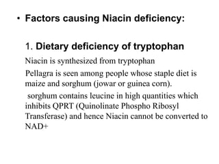 • Factors causing Niacin deficiency:
1. Dietary deficiency of tryptophan
Niacin is synthesized from tryptophan
Pellagra is seen among people whose staple diet is
maize and sorghum (jowar or guinea corn).
sorghum contains leucine in high quantities which
inhibits QPRT (Quinolinate Phospho Ribosyl
Transferase) and hence Niacin cannot be converted to
NAD+
 