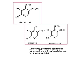 N
CHO
CH2OH
HO
H3C N
CH2NH2
CH2OH
HO
H3C
PYRIDOXAMINE
PYRIXOXAL
N
CH2OH
CH2OH
HO
H3C
PYRIDOXINE
Collectively, pyridoxine, pyridoxal and
pyridoxamine and their phosphates are
known as vitamin B6
 