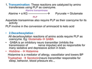 1. Transamination: These reactions are catalyzed by amino
transferases using PLP as coenzyme.
Alanine transaminase
Alanine + α KG -------------------- Pyruvate + Glutamate
PLP
Aspartate transaminse also require PLP as their coenzyme for its
activity
PLP involve in the conversion of aminoacid to keto acid
• 2.Decarboxylation :
All decarboxylation reactions of amino acids require PLP as
coenzyme. Eg: Glutamate- GABA
• GABA is an inhibitory neuro transmitter (inhibits the
transmission of nerve impulse) and so responsible for
many sedative and depressive action in brain.
• Histidine -  Histamine
Histamine is a mediator of allergy, vasodilator and lowers BP
Tryptophan  Serotonin(neuro transmitter responsible for
sleep, behavior, blood pressure etc..,
 