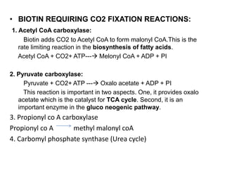 • BIOTIN REQUIRING CO2 FIXATION REACTIONS:
1. Acetyl CoA carboxylase:
Biotin adds CO2 to Acetyl CoA to form malonyl CoA.This is the
rate limiting reaction in the biosynthesis of fatty acids.
Acetyl CoA + CO2+ ATP--- Melonyl CoA + ADP + PI
2. Pyruvate carboxylase:
Pyruvate + CO2+ ATP --- Oxalo acetate + ADP + PI
This reaction is important in two aspects. One, it provides oxalo
acetate which is the catalyst for TCA cycle. Second, it is an
important enzyme in the gluco neogenic pathway.
3. Propionyl co A carboxylase
Propionyl co A methyl malonyl coA
4. Carbomyl phosphate synthase (Urea cycle)
 