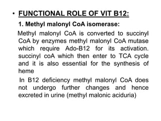 • FUNCTIONAL ROLE OF VIT B12:
1. Methyl malonyl CoA isomerase:
Methyl malonyl CoA is converted to succinyl
CoA by enzymes methyl malonyl CoA mutase
which require Ado-B12 for its activation.
succinyl coA which then enter to TCA cycle
and it is also essential for the synthesis of
heme
In B12 deficiency methyl malonyl CoA does
not undergo further changes and hence
excreted in urine (methyl malonic aciduria)
 