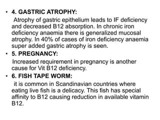 • 4. GASTRIC ATROPHY:
Atrophy of gastric epithelium leads to IF deficiency
and decreased B12 absorption. In chronic iron
deficiency anaemia there is generalized mucosal
atrophy. In 40% of cases of iron deficiency anaemia
super added gastric atrophy is seen.
• 5. PREGNANCY:
Increased requirement in pregnancy is another
cause for Vit B12 deficiency.
• 6. FISH TAPE WORM:
it is common in Scandinavian countries where
eating live fish is a delicacy. This fish has special
affinity to B12 causing reduction in available vitamin
B12.
 