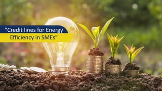 “Credit lines for Energy
Efficiency in SMEs”
 