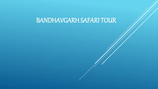 BANDHAVGARH SAFARI TOUR
 
