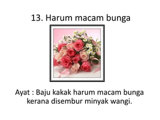 13. Harum macam bunga
Ayat : Baju kakak harum macam bunga
kerana disembur minyak wangi.
 