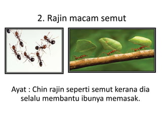 2. Rajin macam semut
Ayat : Chin rajin seperti semut kerana dia
selalu membantu ibunya memasak.
 
