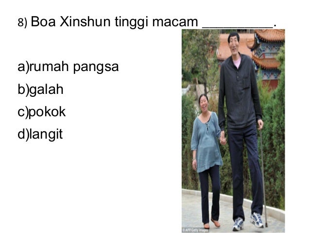 Bandingan semacam