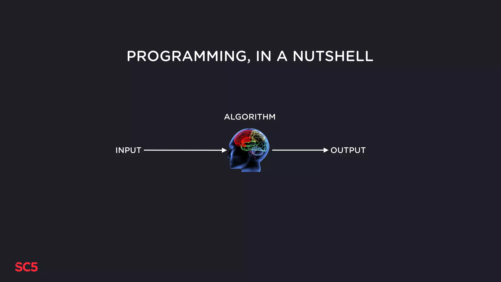 PROGRAMMING, IN A NUTSHELL
OUTPUTINPUT
ALGORITHM
 