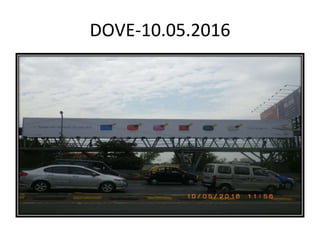 DOVE-10.05.2016
 