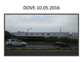 DOVE-10.05.2016
 