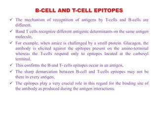 B-CELL AND T-CELL EPITOPES
 The mechanism of recognition of antigens by T-cells and B-cells are
different,
 Band T cells recognize different antigenic determinants on the same antigen
molecule,
 For example, when amice is challenged by a small protein. Glucagon, the
antibody is elicited against the epitopes present on the amino-terminal
whereas the T-cells respond only to epitopes located at the carboxyl
terminal,
 This confirms the B-and T- cells epitopes occur in an antigen,
 The sharp demarcation between B-cell and T-cells epitopes may not be
there in every antigen,
 The epitopes play a very crucial role in this regard for the binding site of
the antibody as produced during the antigen interactions.
 