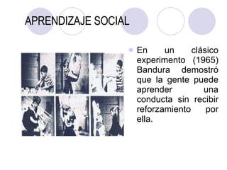 APRENDIZAJE SOCIAL En un clásico experimento (1965) Bandura demostró que la gente puede aprender una conducta sin recibir reforzamiento por ella. 