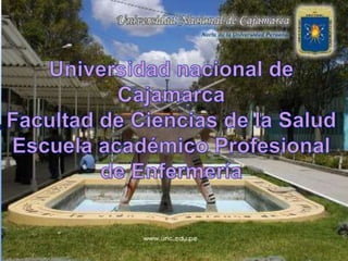 Universidad nacional de Cajamarca  Facultad de Ciencias de la Salud Escuela académico Profesional de Enfermería 