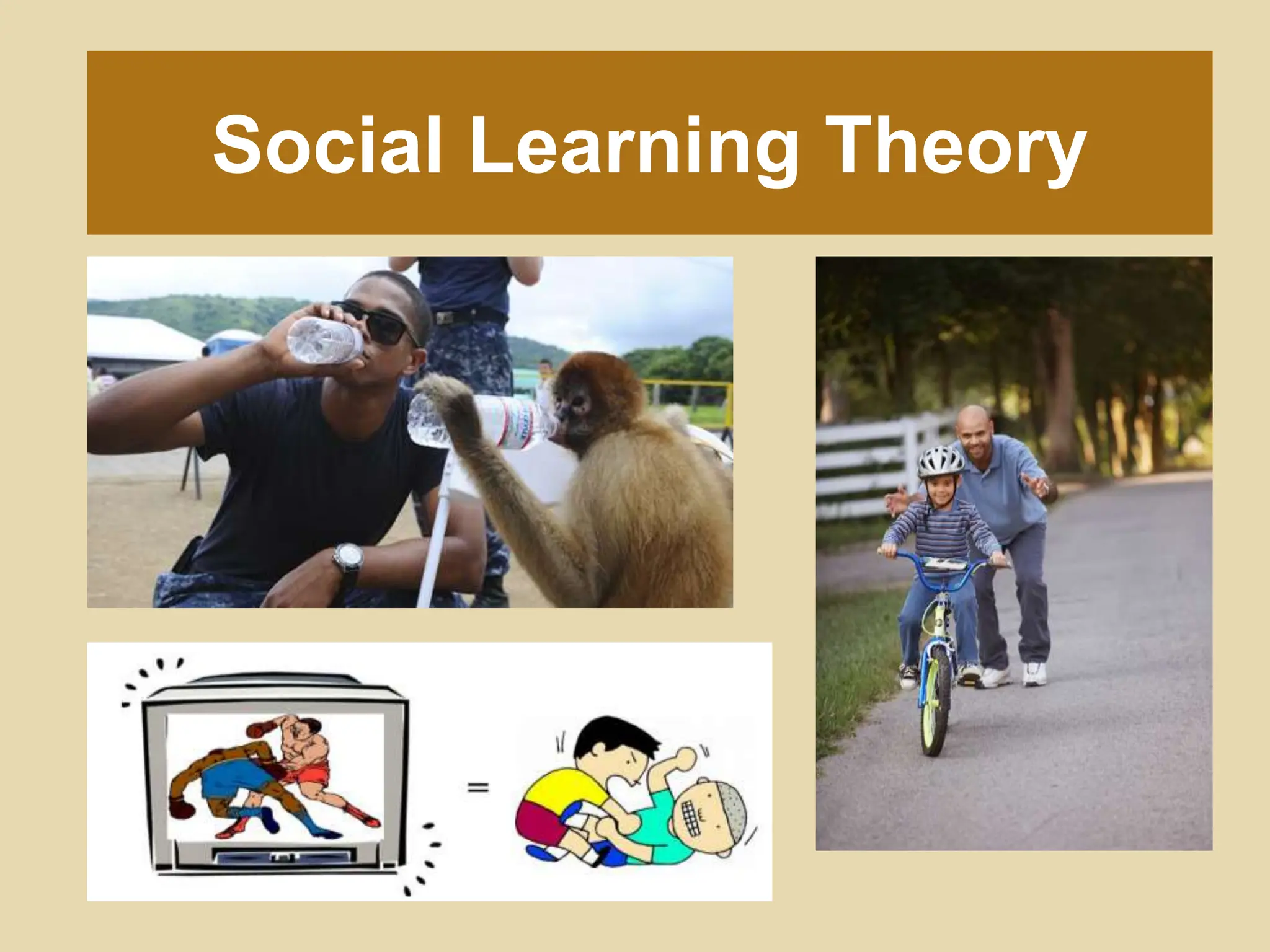 Albert Bandura's Observational Learning Theory PPT