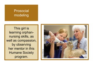 Albert Bandura's Observational Learning Theory | PPTX