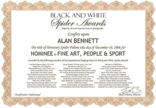 Black &amp; White Spider Award