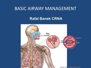 BASIC AIRWAY MANAGEMENT
Rafal Banek CRNA
 