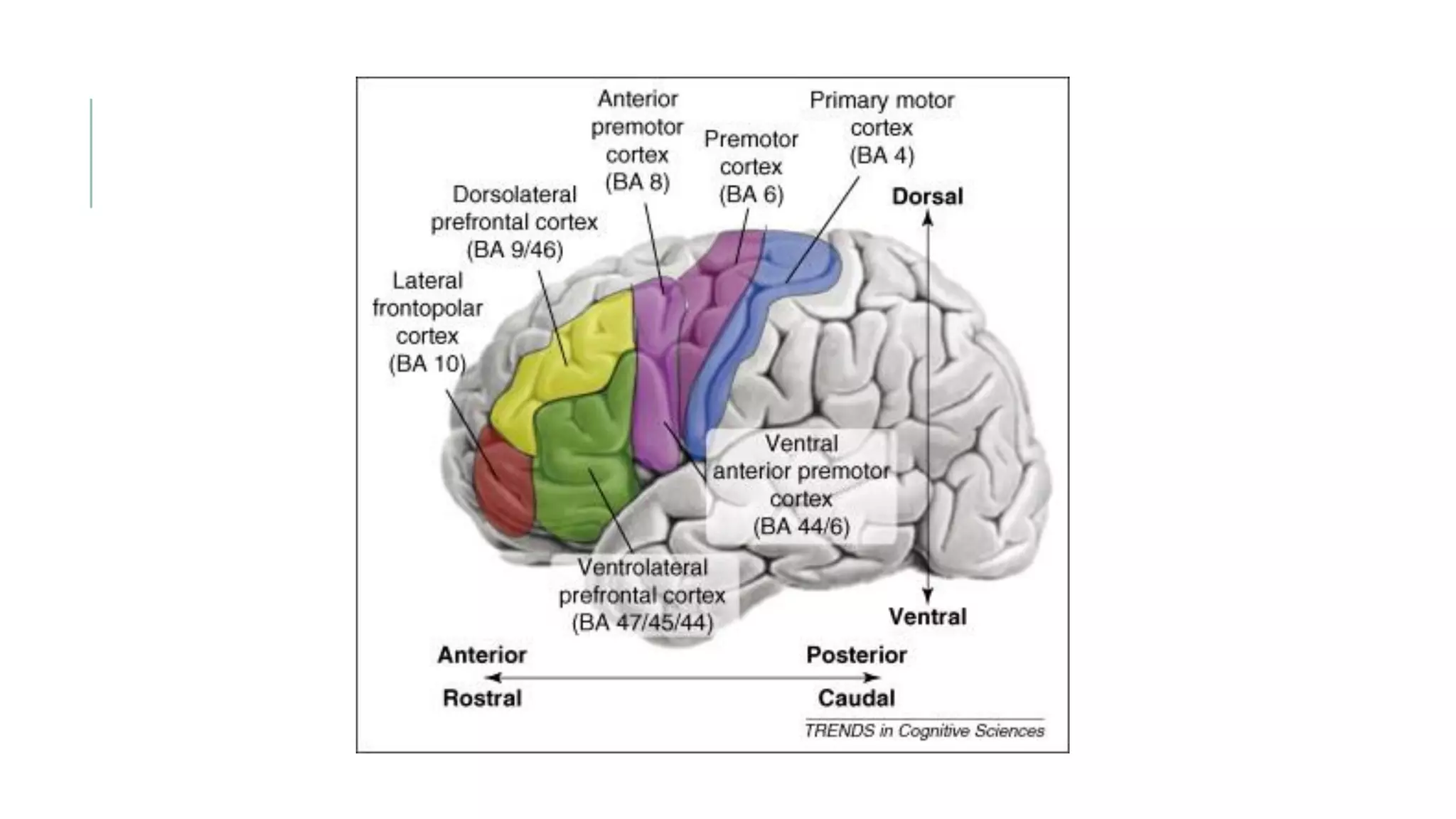 BANFE-2-DIAPOSITIVA.pdf