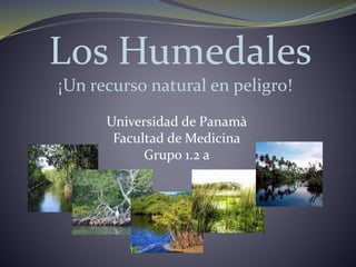 Los Humedales
¡Un recurso natural en peligro!
Universidad de Panamà
Facultad de Medicina
Grupo 1.2 a
 