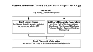 Banff classification and Banff scoring categories for kidney allograft.pptx