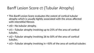 Banff classification and Banff scoring categories for kidney allograft.pptx