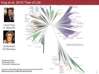 Hug et al 2016
!1
Hug et al. 2016 Tree of Life
92 Bacterial Phyla
25 Archaeal Phyla
5 Eukaryotic Supergroups
Hug et al. Nature Microbiology. A new view of the tree of life.
http://dx.doi.org/10.1038/nmicrobiol.2016.48
Laura Hug
U. Waterloo
Jill Banﬁeld
UC Berkeley
 