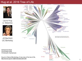 Hug et al 2016
!1
Hug et al. 2016 Tree of Life
92 Bacterial Phyla
25 Archaeal Phyla
5 Eukaryotic Supergroups
Hug et al. Na...