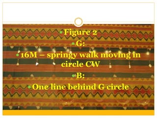  Figure 2
 G:
 16M – springy walk moving in
circle CW
 B:
 One line behind G circle
 