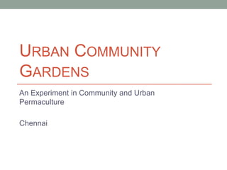 URBAN COMMUNITY
GARDENS
An Experiment in Community and Urban
Permaculture

Chennai

 