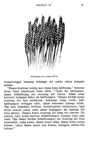 Banggai bible   new testament