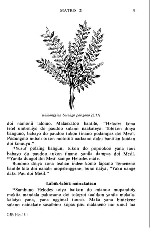 Banggai bible   new testament