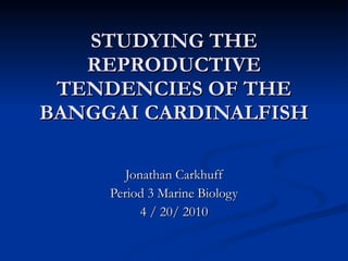 STUDYING THE REPRODUCTIVE TENDENCIES OF THE BANGGAI CARDINALFISH Jonathan Carkhuff Period 3 Marine Biology 4 / 20/ 2010 
