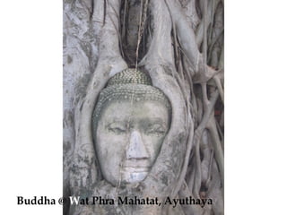 Buddha @  W at Phra Mahatat, Ayuthaya 