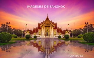 IMÁGENES DE BANGKOK
TONY-BARES
 