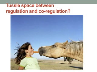 Tussle space between
regulation and co-regulation?
 