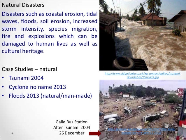 Natural disasters 2011 image
