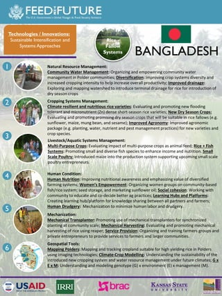 The Feed the Future Sustainable Intensification Innovation Lab activities in Bangladesh