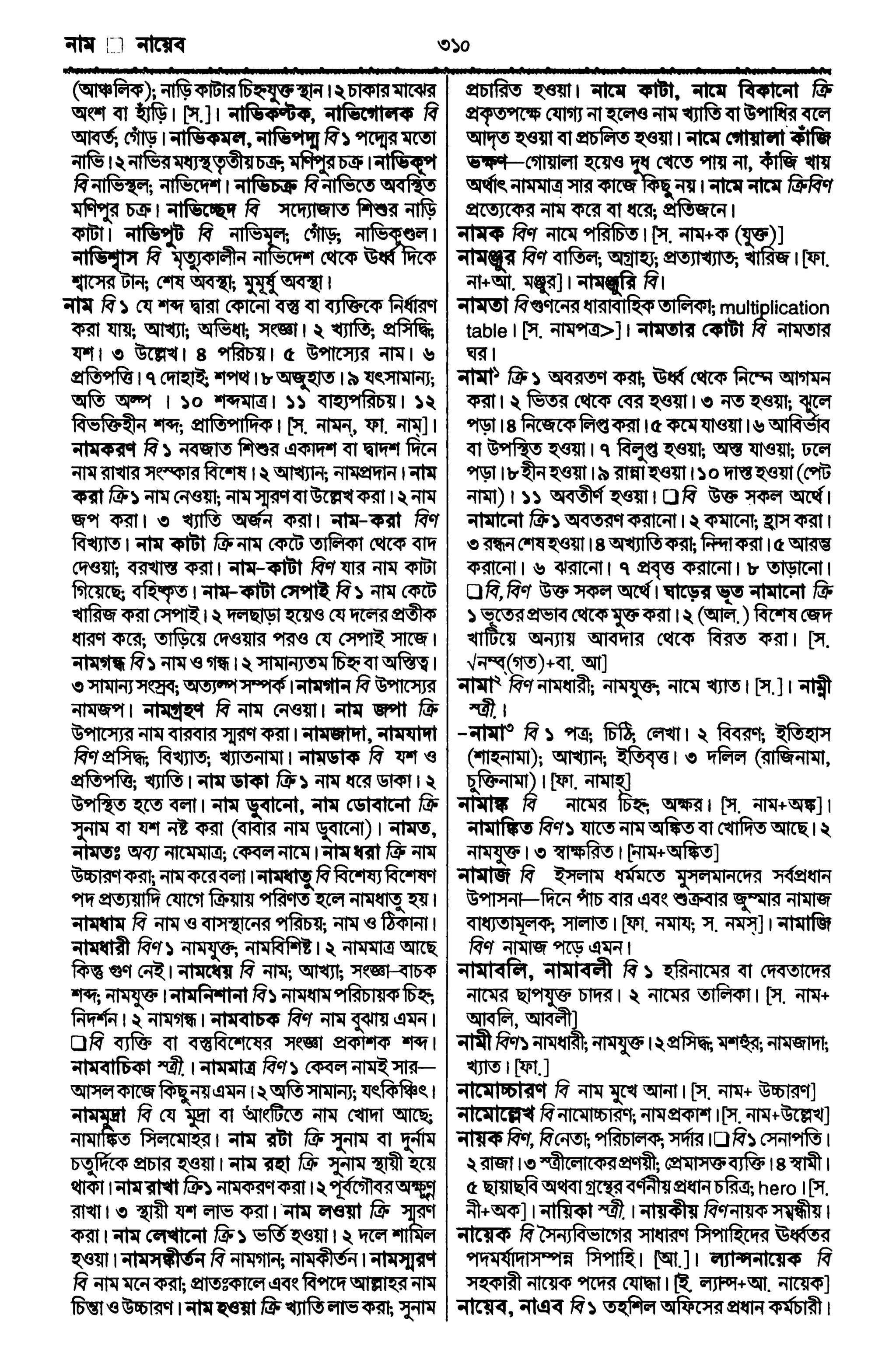Bangla academy Bengali to Bengali dictionary