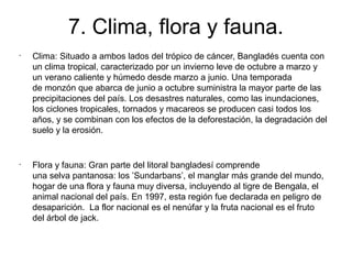 7. Clima, flora y fauna.
•
    Clima: Situado a ambos lados del trópico de cáncer, Bangladés cuenta con
    un clima tropical, caracterizado por un invierno leve de octubre a marzo y
    un verano caliente y húmedo desde marzo a junio. Una temporada
    de monzón que abarca de junio a octubre suministra la mayor parte de las
    precipitaciones del país. Los desastres naturales, como las inundaciones,
    los ciclones tropicales, tornados y macareos se producen casi todos los
    años, y se combinan con los efectos de la deforestación, la degradación del
    suelo y la erosión.


•
    Flora y fauna: Gran parte del litoral bangladesí comprende
    una selva pantanosa: los ’Sundarbans’, el manglar más grande del mundo,
    hogar de una flora y fauna muy diversa, incluyendo al tigre de Bengala, el
    animal nacional del país. En 1997, esta región fue declarada en peligro de
    desaparición.  La flor nacional es el nenúfar y la fruta nacional es el fruto
    del árbol de jack.
 