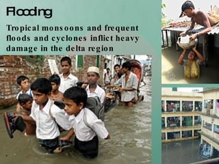Flooding Tropical monsoons and frequent floods and cyclones inflict heavy damage in the delta region 