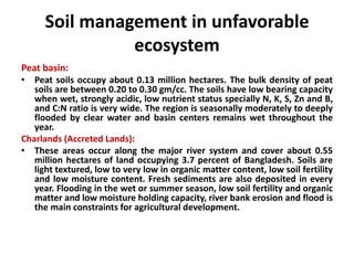 Soil management in unfavorable
ecosystem
Peat basin:
• Peat soils occupy about 0.13 million hectares. The bulk density of peat
soils are between 0.20 to 0.30 gm/cc. The soils have low bearing capacity
when wet, strongly acidic, low nutrient status specially N, K, S, Zn and B,
and C:N ratio is very wide. The region is seasonally moderately to deeply
flooded by clear water and basin centers remains wet throughout the
year.
Charlands (Accreted Lands):
• These areas occur along the major river system and cover about 0.55
million hectares of land occupying 3.7 percent of Bangladesh. Soils are
light textured, low to very low in organic matter content, low soil fertility
and low moisture content. Fresh sediments are also deposited in every
year. Flooding in the wet or summer season, low soil fertility and organic
matter and low moisture holding capacity, river bank erosion and flood is
the main constraints for agricultural development.
 