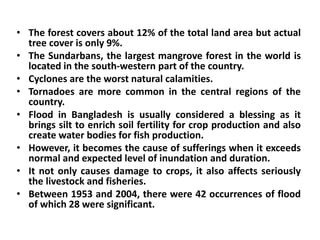 • The forest covers about 12% of the total land area but actual
tree cover is only 9%.
• The Sundarbans, the largest mangrove forest in the world is
located in the south-western part of the country.
• Cyclones are the worst natural calamities.
• Tornadoes are more common in the central regions of the
country.
• Flood in Bangladesh is usually considered a blessing as it
brings silt to enrich soil fertility for crop production and also
create water bodies for fish production.
• However, it becomes the cause of sufferings when it exceeds
normal and expected level of inundation and duration.
• It not only causes damage to crops, it also affects seriously
the livestock and fisheries.
• Between 1953 and 2004, there were 42 occurrences of flood
of which 28 were significant.
 