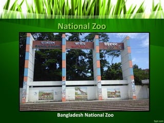 National Zoo
Bangladesh National Zoo
 