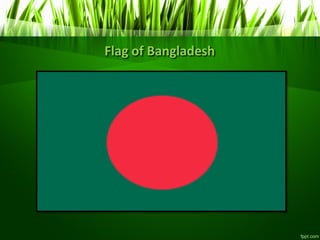 Flag of Bangladesh
 