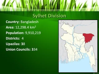 Sylhet Division
Country: Bangladesh
Area: 12,298.4 km2
Population: 9,910,219
Districts: 4
Upazilas: 38
Union Councils: 334
 