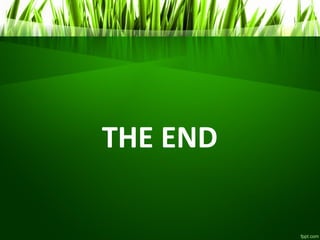 THE END
 