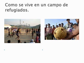 P
o
r
l
a
t
a
r
d
e
l
o
s
n
i
ñ
o
s
s
e
v
a
n
a
j
u
g
a
r
a
l
v
o
l
e
i
f
u
t
b
o
H
a
c
e
n
p
e
l
o
t
a
s
d
e
b
a
m
b
ú
 