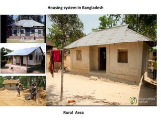 Housing system in Bangladesh
Rural Area
 